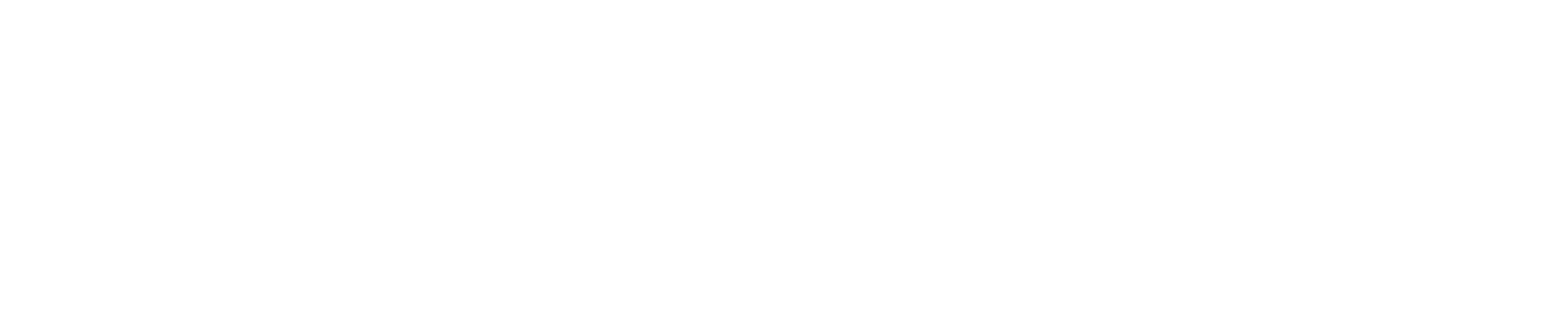 zenora logo